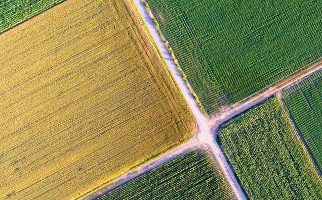Échange de jouissance de parcelles agricoles : quelles sont les règles ?